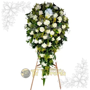 Fúnebre o Condolencia Cascada en Rosas FC20