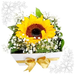 Caja Floral Cuadrada Solo Girasol C34