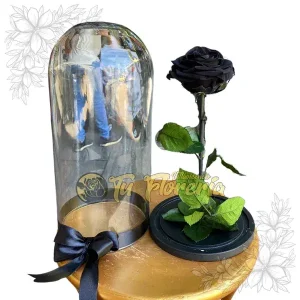 Preservadas y Artificiales